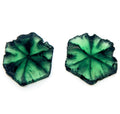 10.63ctw. Trapiche Emerald Pair