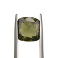 olive green moldavite gemstone in silver tweezers on a white background