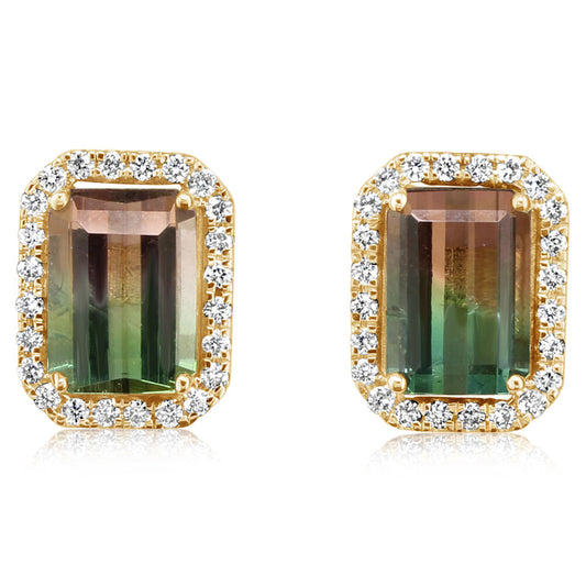 Bi-Color Tourmaline & Diamond Earrings in 14K Yellow Gold