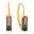 Bi-Color Tourmaline Earrings in 14K Yellow Gold